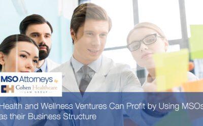 Health and Wellness Ventures Can Profit by Using MSOs as their Business Structure